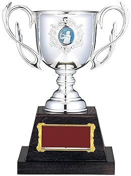 ⁡*⁡様 SILVERトロフィー 優勝カップ○高さ225mm 15%OFF【文字無料】銀（シルバー）金属